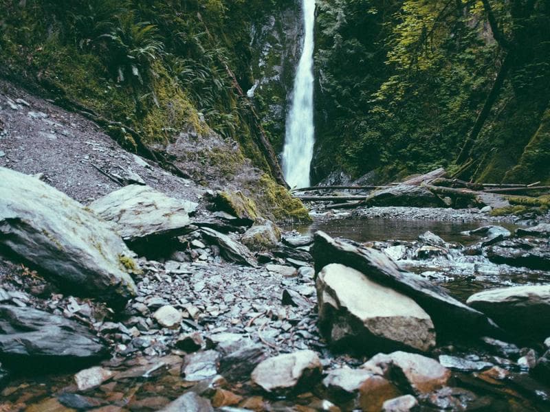 Kitsune Spirit — imagen 1