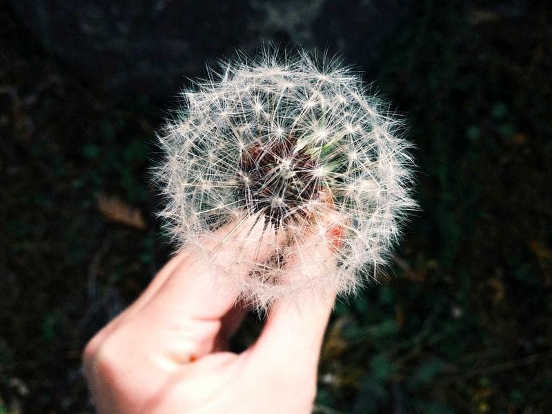 Gundam Type-ΣX — imagen 1